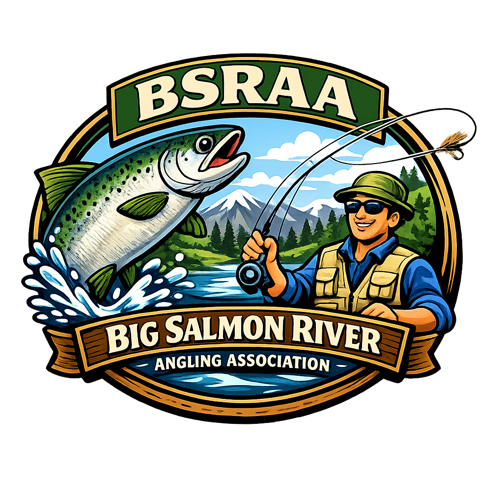 BSRAA Logo